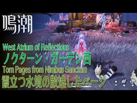 【鳴潮】霞立つ水境の散逸したページ/ノクターン・ガーデン西 [Torn pages from Nimbus Sanctum,West Artrium of Reflections,38432]