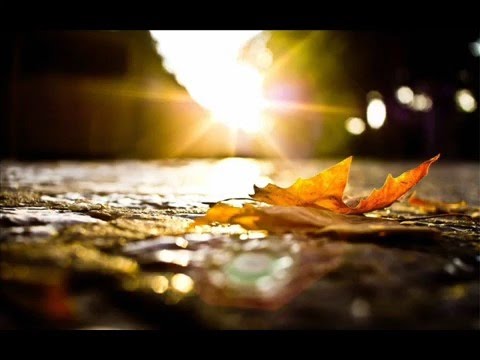 KARRIN ALLYSON ~ Good Morning Heartache (1995)