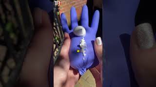 10 Most SHOCKING Facts!!Ep28 #shorts #trendingshorts #shockingfacts