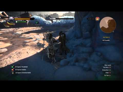 Best Glitch EVER | Witcher 3: Wild Hunt