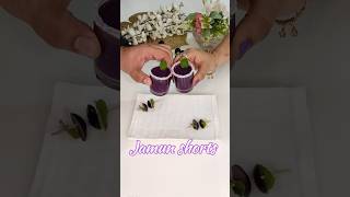 jamun shorts🥂#jamundrink#javaplum#seasonal #summer 🌞🍹🏖#trending #easyrecipe #shorts#fruitshorts