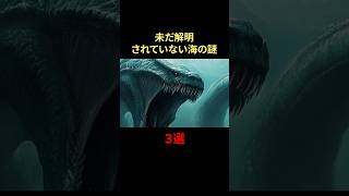 未だ解明されていない海の謎3選 #動物 #雑学 #海