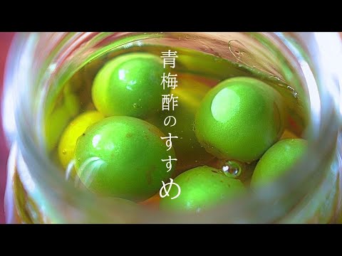 明治の曾祖母から伝わる【青梅 レシピ】今年の試み