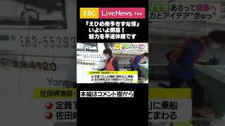 【#Shorts】開幕！『えひめ南予きずな博』魅力をぎゅっとご紹介！