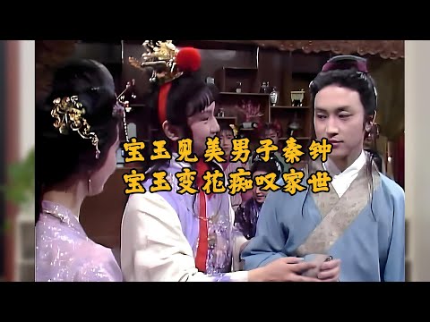 宝玉见美男子秦钟，宝玉变花痴叹家世