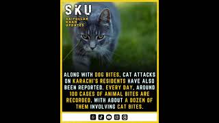 Cat Attacks on the Rise in Karachi! Shocking Reports Reveal