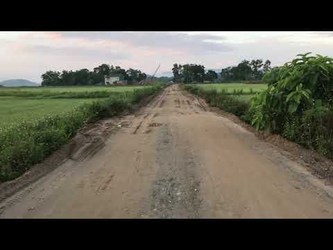 Walking in the rice field/ beautiful morning in the hometown