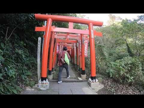【稲荷系】連続する赤い鳥居をくぐって行くだけの動画