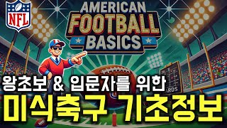 슈퍼볼 관전을 위한 NFL 미식축구 완전 기초 정보 🏈
