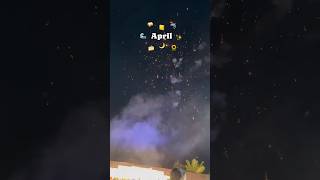 April Dump 🌊✨🌻🦈🥪📒🍰 #pritivlogs #pritivlogs27 #pvlogs #aprildump