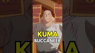 What is a Buccaneer in One Piece? Kuma Explained