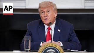 Trump says he didn't see Elon Musk get physical with Scott Bessent