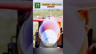 实拍画面！红旗-17AE行进间精准摧毁飞行目标！| 军迷天下