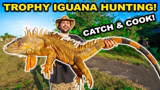 Trapping GIANT Invasive IGUANAS in Florida Neighborhoods!!! (Catch Clean Cook)