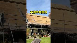英国茅草屋顶铺设过程，看起来特别的解压！ #茅草屋 #解压 #趣事 #有趣 #全球看点