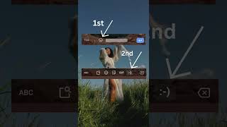 INSTAGRAM HIDDEN FEATURE EDITION 1 #instafacts