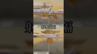 【決勝時刻M】各槍大比對｜Locus VS DLQ33😍 #決勝時刻m #codm