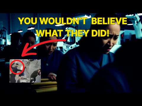 Robot Attacks Engineer During Demo — What Happened Next SHOCKED Everyone (Caught on Camera!)