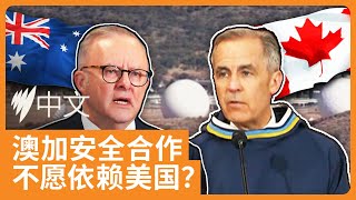 加拿大欲向澳大利亚购买超60亿加元的军事雷达，或成澳方最大国防订单！| SBS中文