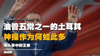 打錯飛機燒錯國旗，油管五常之一的土耳其，神操作為何如此之多？ #纪实 #醫療紀錄片 #生命緣 #醫院 #紀錄片