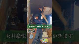 【カビだらけ】天井張り替え！ #自作軽キャン #diy #キャンピングカー #日本一周 #軽トラキャンピングカー #アウトドア #shortvideo