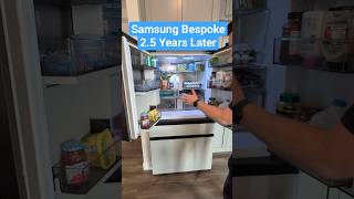 Samsung Bespoke Refrigerator 2.5 Year Update!