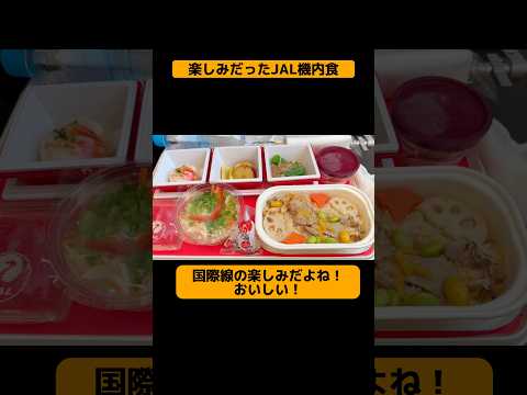 【JALタイフライト】胃薬片手に機内食に悶絶 #海外旅行 #旅行好きと繋がりたい #国際線 #機内食 #JAL #羽田空港 #スワンナプーム国際空港 #shorts