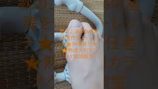[🌟歌の上達の為の基礎を作るストレッチ🌟発信責任者🌟熟達大村カラオケ歌唱教室]