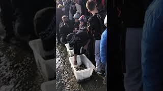 Зариблення Дніпра, Херсон, парк Слави