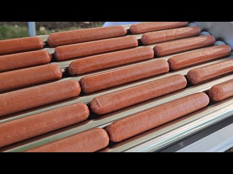 Vevor Hot Dog Roller Review & Tips