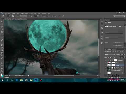 Fantasy creature photoshop manipulation