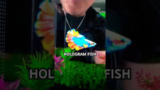 World’s First REAL Hologram Fish Tank