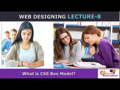 Lceture 8 - What is CSS  Box Model?