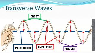 Wave Basics and Speed