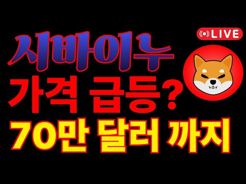 [시바이누] 70만 달러까지 가격이 급등한다고?