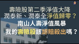 壽險股第二季淨值大降 | 潤泰新、潤泰全淨值歸零？| 南山人壽淨值風暴 | 我的壽險股該認賠殺出嗎？【CC字幕】