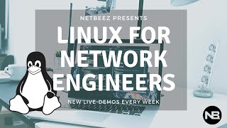 iPerf Performance on the Raspberry Pi 4B