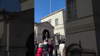 Kings guard #ukdiaries #kingsguard #europetravel #london #shorts