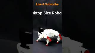 Your personal desktop size programmable robot dog! #robotdog #viralvideo