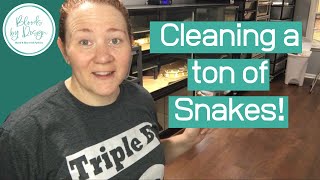 How to Clean Snake Cages and Racks
