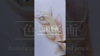 【色鉛筆画】必見！いつもと同じように描いただけでリアルに描けた！　Realistic cat drawing colord pencil  #art #色鉛筆 #drawing #アナログ
