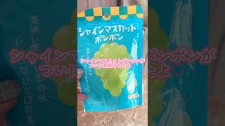ついにあのシャインマスカットボンボンが2月25日に再販！！！ #お菓子 #コンビニ #ファミリーマート #shorts