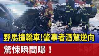 野馬撞轎車！肇事者酒駕逆向 驚悚瞬間曝