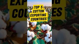 Top 5 Cotton Exporting Countries in The World