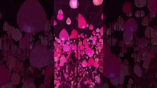 【ラスベガス】五感で楽しむアルテミュージアム #artemuseum #ラスベガス #アメリカ旅行 #デジタルアート #shorts