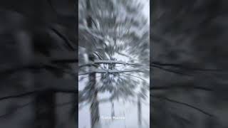 Amazing Green Beauty Now Covered in Snow ❄️ #travel #foryou  # vlog