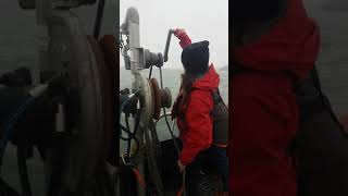 SOPs video(2)