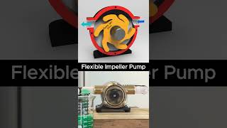 Flexible Impeller Pump  #mechanical #engineering #pump #jacobpump #mechanism #mechanic #3ddesign