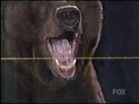 Kobayashi vs Giant Bear