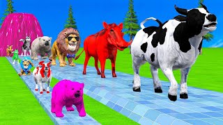 Paint & Animals Cow,Monkey,Pig,Duck,Seal,Lion,Elephant Fountain Crossing Transformation Animal